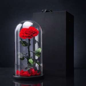 Rosa Preservada Gigante en Forma de Corazón Clásica con Luz LED en Cúpula de Cristal, Regalo de Flor Eterna para el Día de San Valentín, Decoración para el Hogar y Bodas - Product Image 1