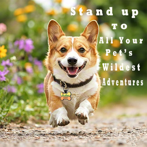 Etiquettes personnalisées pour animaux de compagnie, lettres colorées, rondes, silencieuses, en silicone, anti-perte, étanches, forme d'os, pour chiens - Product Image 6