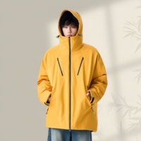 Veste d'hiver pour homme avec logo personnalisé, veste d'extérieur tendance, coupe-vent, imperméable, épaisse et chaude, veste en duvet pour homme