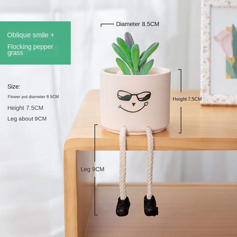 Smirk + การจำลองการรวมกลุ่ม Peperomia
