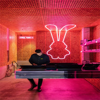 5% de réduction Petit Mini Grand OEM personnalisé alimenté par batterie intérieur extérieur publicité Logo LED éclairage lettres néon boutique signe
