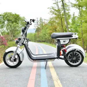 2023 kendini dengeleme elektrikli Scooter ab depo elektrikli Scooter stokta motosikletler elektro CE/EEC/COC sertifikası toptan
