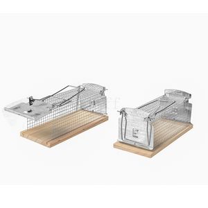 <span class=keywords><strong>2023</strong></span> R. - Product Image 3