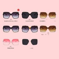 Lunettes de soleil tendance pour femmes, monture PC, verres AC, protection UV400, style rétro, accessoires pour photos de rue, cadeau