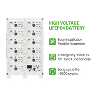 Système solaire hybride tout-en-un de marque Solis, onduleur hybride 380/400v triphasé 50kw 100kw 150kw, utilisé pour les usines ou les hôtels