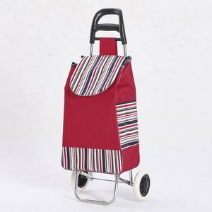 Carrito de Compras con Ruedas y Logotipo Personalizado, Producto Popular - Product Image 2