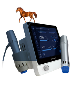 Professionele Eswt Dieren Gericht Schokgolftherapie Euiqne <span class=keywords><strong>Wave</strong></span> Paarden Huisdieren Dieren Snel Pijnstilling Apparaat - Product Image 3