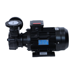 Factory Supply <b>Small</b> Size <b>Pump</b> for 200 Degrees Hot Water Oil Transfer DN20-DN40 0.33-3Hp - Product Image 5
