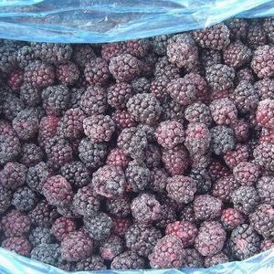 Gefrorene Brombeere IQF Gefrorene Früchte Frische Bulk Bio Brombeeren zu verkaufen - Product Image 6