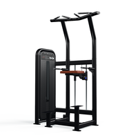 Máquina de Asistencia para Dominadas y Flexiones con Tubo Ovalado, Peso Seleccionable, Directo de Fábrica, Estación de Dominadas y Flexiones para Gimnasio Comercial, Entrenamiento Asistido