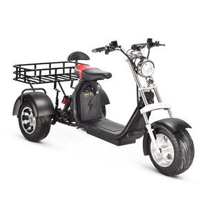 Meilleur prix, tricycle électrique à trois roues X10, GPS, pliable, étanche, batterie au lithium 2000w, pour les personnes âgées, loisirs, Citycoco - Product Image 1