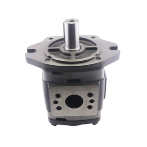 Pompe hydraulique à débit variable IPVP5-32/40/50/64-101, pompe hydraulique à grand débit, pompe à engrenages interne IPVP-5-40-101 IPVP6-125-101 - Product Image 2