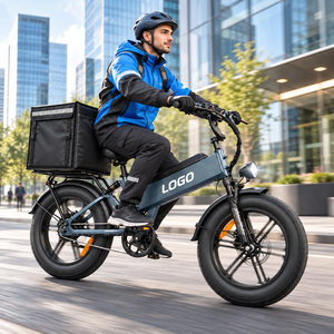 Vélo cargo électrique 20 pouces 48V 351-500W Moteur sans balais Cadre en aluminium Frein à disque Longue autonomie Vélo électrique - Product Image 1