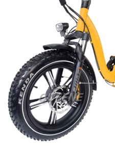 QUEENE/Vélo électrique à gros pneus à double moteur/Vélo électrique tout-terrain/Vélo électrique de plage - Product Image 3