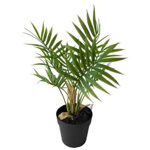Planta Artificial Pequeña en Maceta al por Mayor, Bonsái Artificial de Plástico Pequeño, Decoración de Oficina - Product Image 1