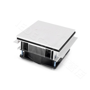 Flat Peltier Cooling Plate — Pet <b>Cooler</b> / <b>Mini</b> Fridge / PC Radiator / Chinchilla Chiller with Rapid Cooling M504 - Product Image 1