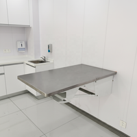 Platzsparender Wandmontierter Klappbarer Tierarzt-Untersuchungstisch aus 304 Edelstahl, Wiederverwendbar für Hunde- und Tierkliniken