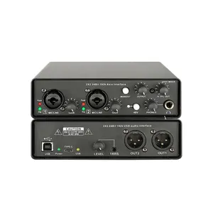 Scheda Audio professionale con Driver ASIO interfaccia Audio USB alimentazione Phantom 48V per live Studio Streaming Podcast