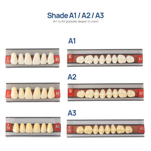 Vendita calda 28 pz dentiere denti finti denti dentali in resina sintetica composita - Product Image 2