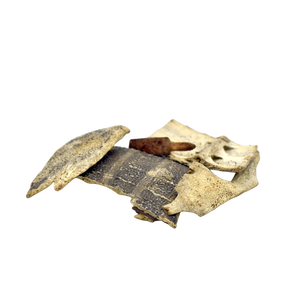 ผงเปลือกหอยเต่าตัวอย่างฟรีเกรด Top ผงสกัดเปลือกเต่าผงสกัดเปลือกเต่า - Product Image 3