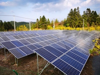 Système de montage solaire au sol en acier résistant à la corrosion, surface anodisée pour les projets photovoltaïques commerciaux à grande échelle en environnements difficiles
