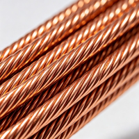 Cable Flexible de Alta Aislación del Fabricante, de Cobre Puro Sólido y Trenzado, para Calefacción Industrial y Construcción en Altura/Baja Altura