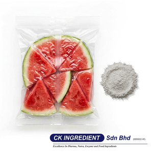 Poudre de jus de pastèque original, extrait de fruit rafraîchissant, base de boisson, complément alimentaire, support OEM ODM, directement de l'usine - Product Image 3