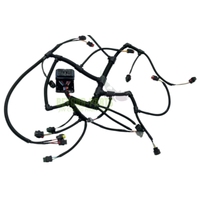 361-3359 312E 316E 318E Excavateur C4.4 Harnais de câblage d'injecteur de moteur 3613359