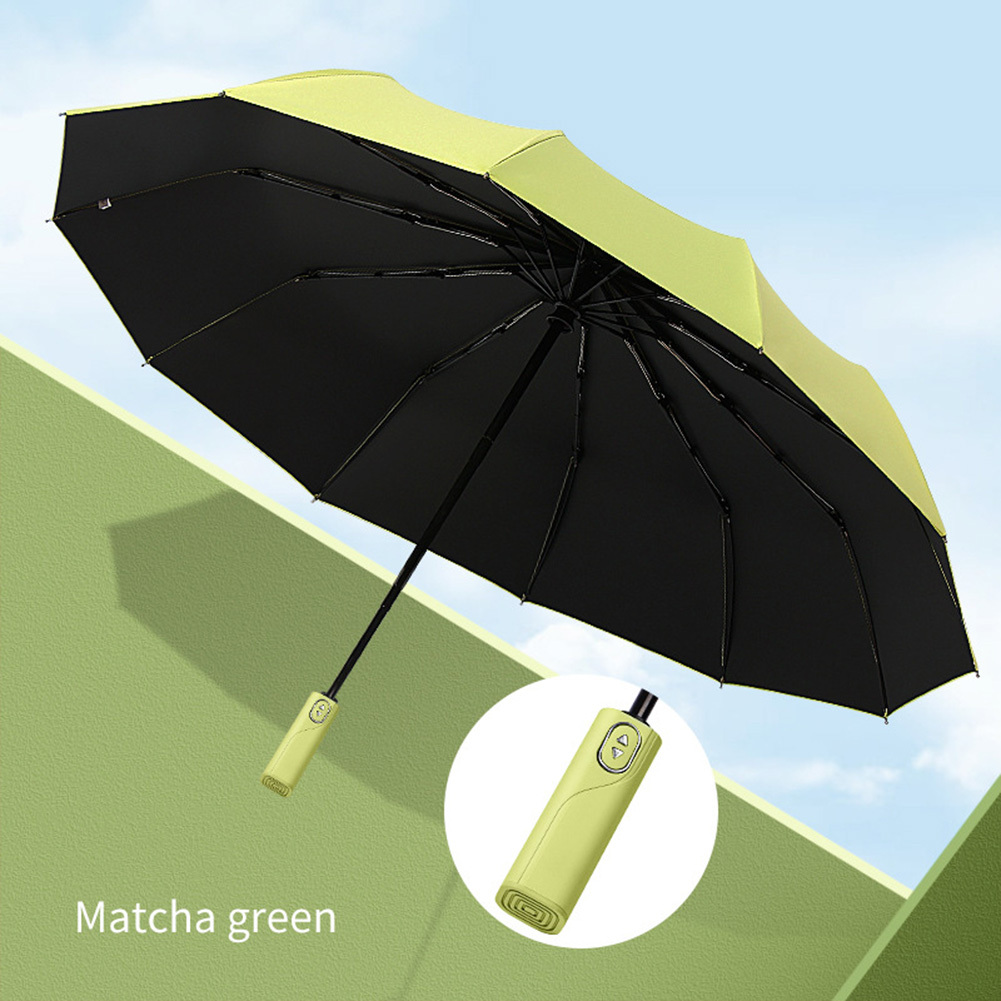 Verde-12K