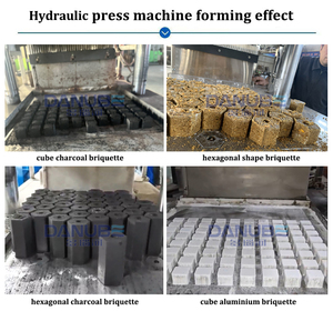 DANUBE BBQ Cooking <b>Coal</b> Briquette Making Machine Charcoal Briquette Stainless Steel Hydraulic Press Machine - Product Image 6