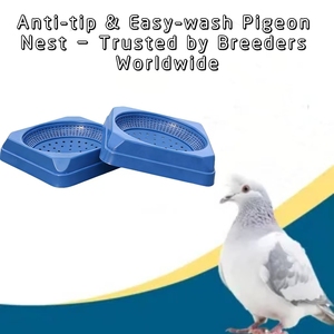 Nido per Piccioni in Plastica Ventilata di Alta Qualità, Resistente, per Gabbie di Uccelli e Accessori per l'Allevamento - Product Image 3