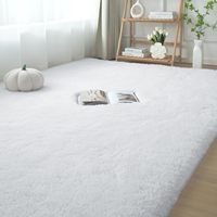 Tapis épais en fourrure synthétique blanche 0096, tapis moelleux à poils longs, tapis en mousse à mémoire de forme