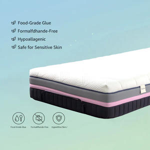 Lüks 3D Hafızalı Köpük Yatak Sıkıştırma Kutusu Çevre Dostu Nefes Alabilen Hipoalerjenik Modern Yatak Odası Okul Otel Villa - Product Image 2