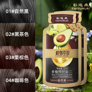 Crème de teinture capillaire à l'avocat Extrait de plante Protection des cheveux Crème de blanchiment gratuite à base de fruits pour un usage domestique - Product Image 2