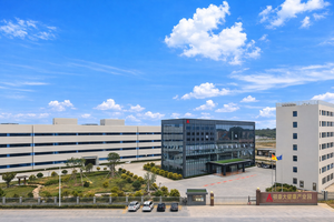 Complément Alimentaire <span class=keywords><strong>Multivitamin</strong></span>é en Gummies pour Femmes, Marque Privée OEM, Soutien Immunitaire et Énergétique, pour la Santé Féminine Adulte - Product Image 5