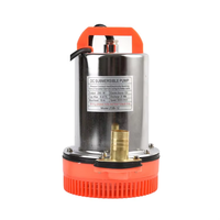 Pompe submersible à piston pour l'agriculture et le jardinage, alimentée par énergie solaire CC 12V 24V 48V, pour eau propre, prix usine