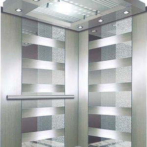 Ascensor Residencial a Medida de Fabricante Chino: Elevador de Plataforma con Panorámicas Impresionantes y Ahorro de Espacio - Product Image 3