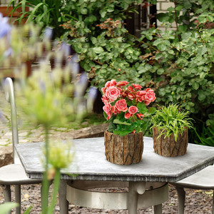<span class=keywords><strong>Pot</strong></span> de fleur rustique en bois tronc d'arbre aspect bois petite jardinière tronc en bois bougeoir Mini <span class=keywords><strong>Pot</strong></span> de plante Cactus succulent <span class=keywords><strong>Pot</strong></span> bol - Product Image 2