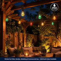 Guirlandes lumineuses intelligentes à ampoules PC S14 incassables, lumières féériques LED RGB à changement de couleur avec câble en caoutchouc robuste pour une utilisation en extérieur