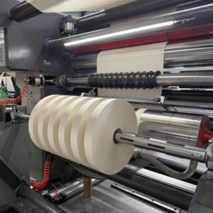 Rouleau de papier en vrac standard 240 g/m² biodégradable enduit de PE résistant à l'huile pour la fabrication de fonds de gobelets en papier – Vente en gros - Product Image 1