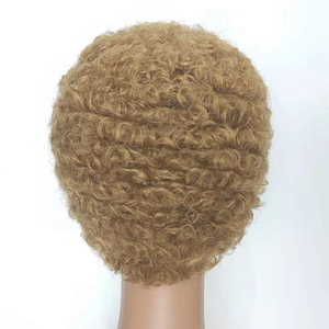 Doppio annegamento In magazzino 100 per cento autentici capelli umani nessuno pizzo capelli umani parrucche per donne di colore - Product Image 5