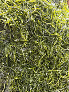 สาหร่ายแผ่นสาหร่ายทะเลแห้งแบบแผ่นเสริมความงามของบริษัทสาหร่ายทะเลแห้ง - Product Image 2