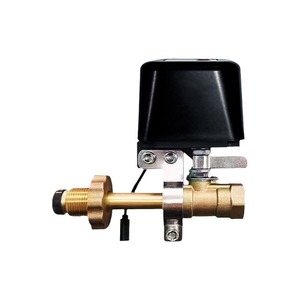Gas Shut Off Valve 1/2 In Electric Solenoid Controller For Household Cylinder Safety Valve - Product Image 2