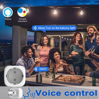 Prise intelligente SIXWGH conforme aux normes européennes avec suivi de la consommation d'énergie via l'application Smart Life, compatible avec Alexa, Google Home et Alice, commande vocale