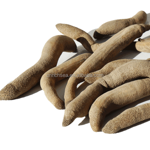 Mồi câu cá khô đóng băng bibiworm khô lugworm <span class=keywords><strong>BiBi</strong></span> giun cát - Product Image 5