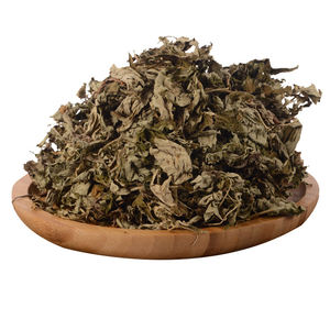 Daun Mugwort Kering Alami Murni dari Pabrik Tradisional - Product Image 5