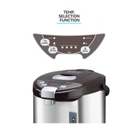 Bouilloire Électrique en Acier Inoxydable 750W 4.5-5.5L avec Fonction de Distribution et Protection Contre l'Ébullition à Sec pour Usage Domestique et Hôtelier