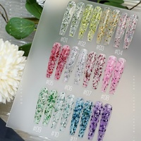 ARNAILO Gel UV Constructeur pour Fleurs Séchées, 25 Couleurs, Sans HEMA ni TPO, Non Toxique, Écologique, Paillettes, Extension d'Ongles, Fournisseur d'Usine, OEM