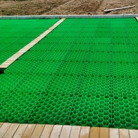 Grilles de pavage en gravier de 40 mm et 50 mm, grilles en plastique perméables pour l'herbe automobile