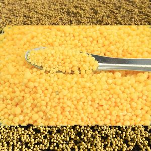 Poudre soluble d'agriculture d'engrais de composé de libération contrôlée de NPK pour l'usage d'usine - Product Image 3